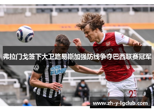 弗拉门戈签下大卫路易斯加强防线争夺巴西联赛冠军 弗拉门戈签下大卫路易斯加强防线争夺巴西联赛冠军